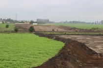 Urz�d Miejski w Wolsztynie