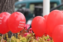 Urz�d Miejski w Wolsztynie