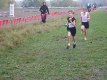 Urz�d Miejski w Wolsztynie