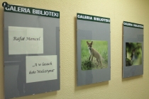 Urz�d Miejski w Wolsztynie