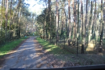 Urz�d Miejski w Wolsztynie