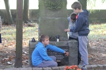 Urz�d Miejski w Wolsztynie