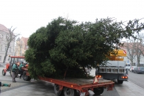 Urz�d Miejski w Wolsztynie