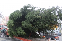 Urz�d Miejski w Wolsztynie