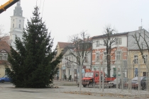 Urz�d Miejski w Wolsztynie