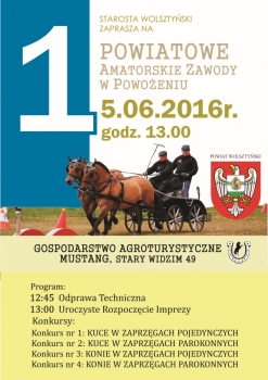 Urząd Miejski w Wolsztynie