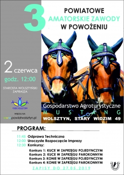 Urząd Miejski w Wolsztynie